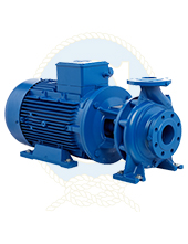 Monoblok Santrifüj Pompalar